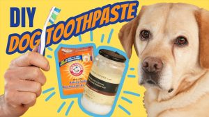 best dog toothpaste