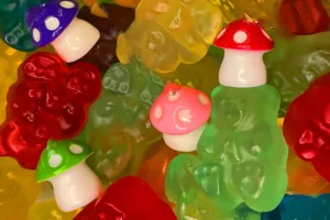 gummies bulk