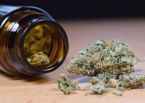cbd hemp flower