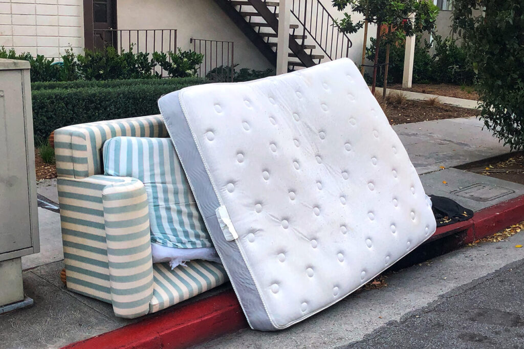 junk removal and hauling
